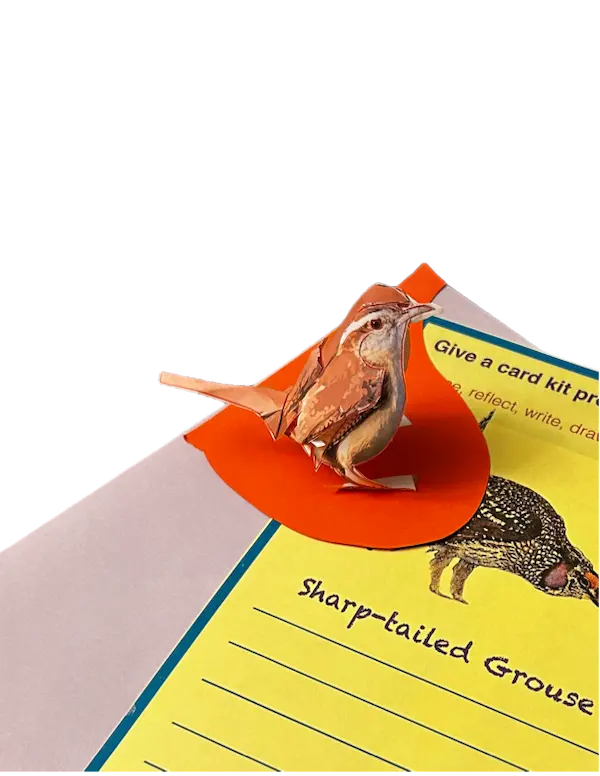 BirdNote set