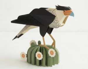 caracara