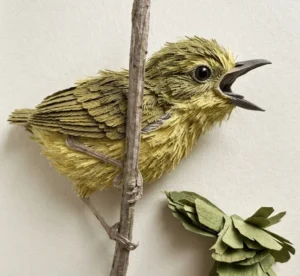 chick