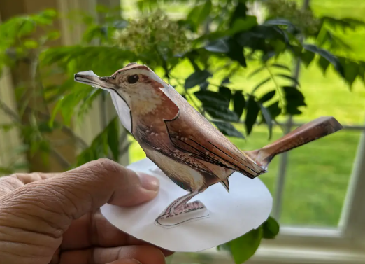 A paper wren