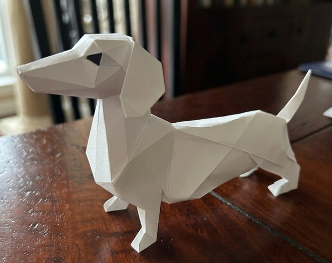 gstarless dacshund