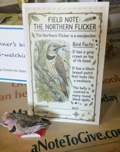 post sauoosh fn flicker